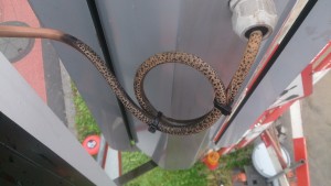 Nach langen jahren an der Sonne verfärben sich PUR-Kabel.